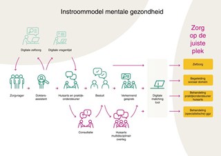 Instroommodel-mentale-gezondheid